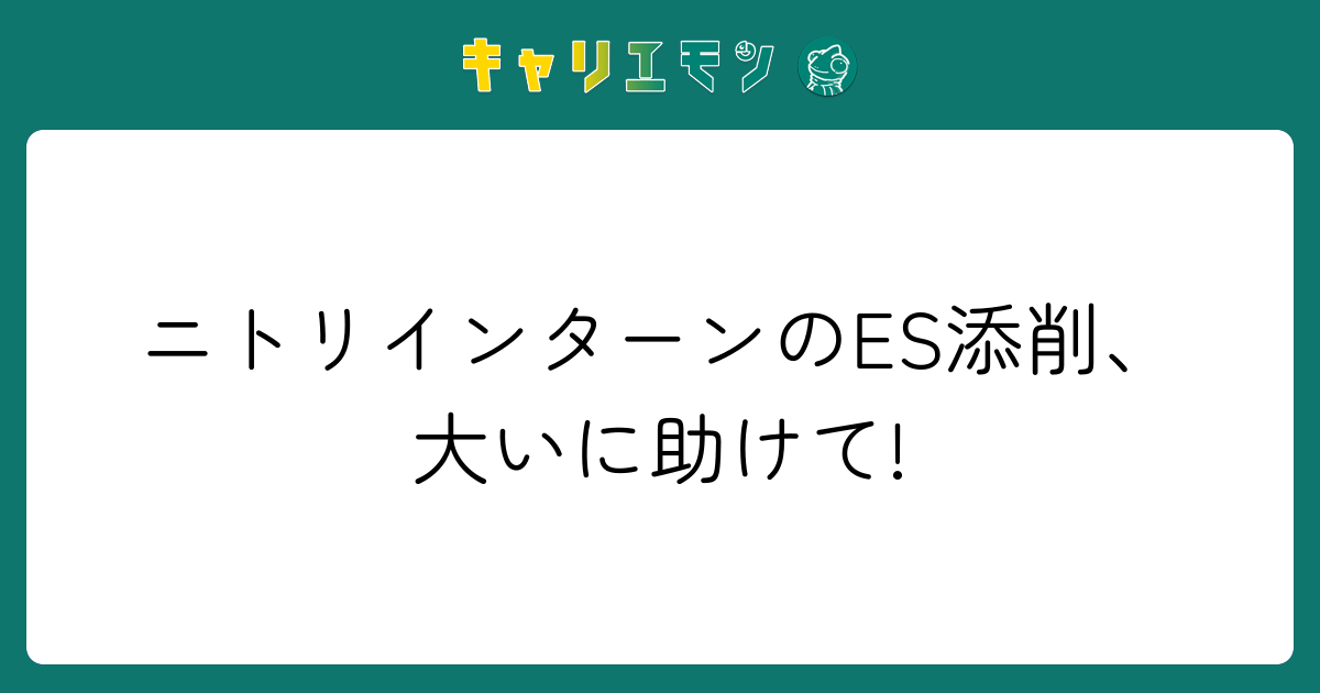 ニトリインターンのES添削、大いに助けて!
