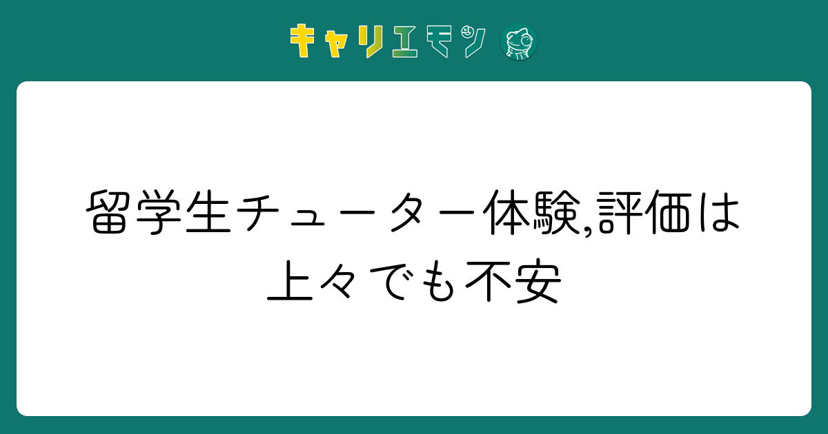 留学生チューター体験,評価は上々でも不安