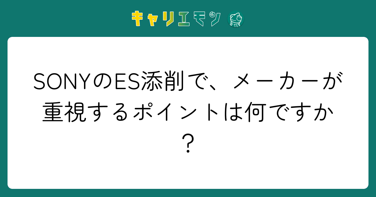 SONYのES添削で、メーカーが重視するポイントは何ですか？