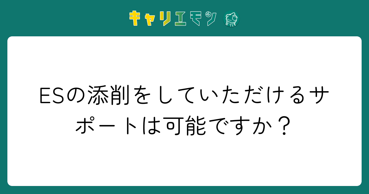 ESの添削をしていただけるサポートは可能ですか？