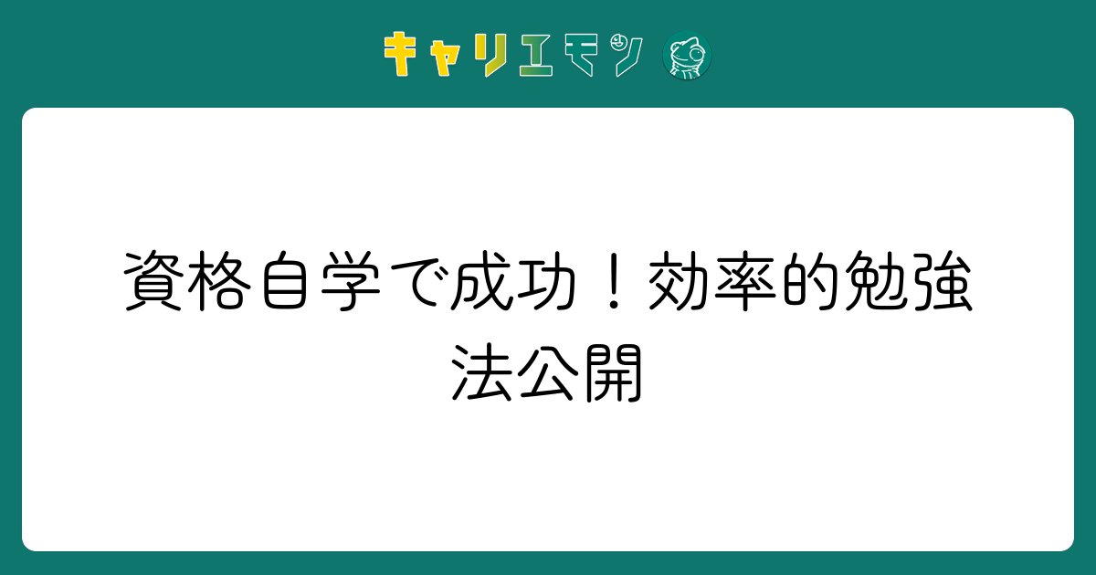 資格自学で成功！効率的勉強法公開